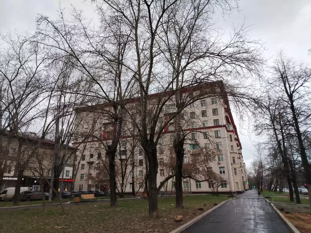 Помещение свободного назначения в Москва просп. Буденного, 30/8 (182 ... - Фото 1