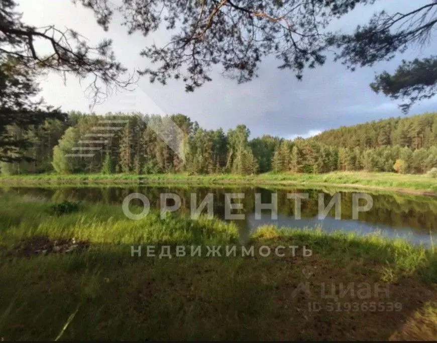 Участок в Свердловская область, Каменский муниципальный округ, д. ... - Фото 0