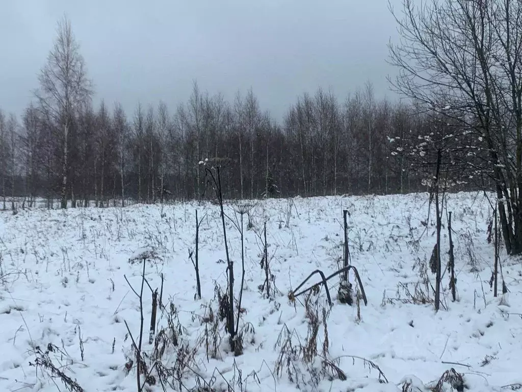 Участок в Московская область, Истра ул. Ленина, Река Истра (12.38 ... - Фото 2