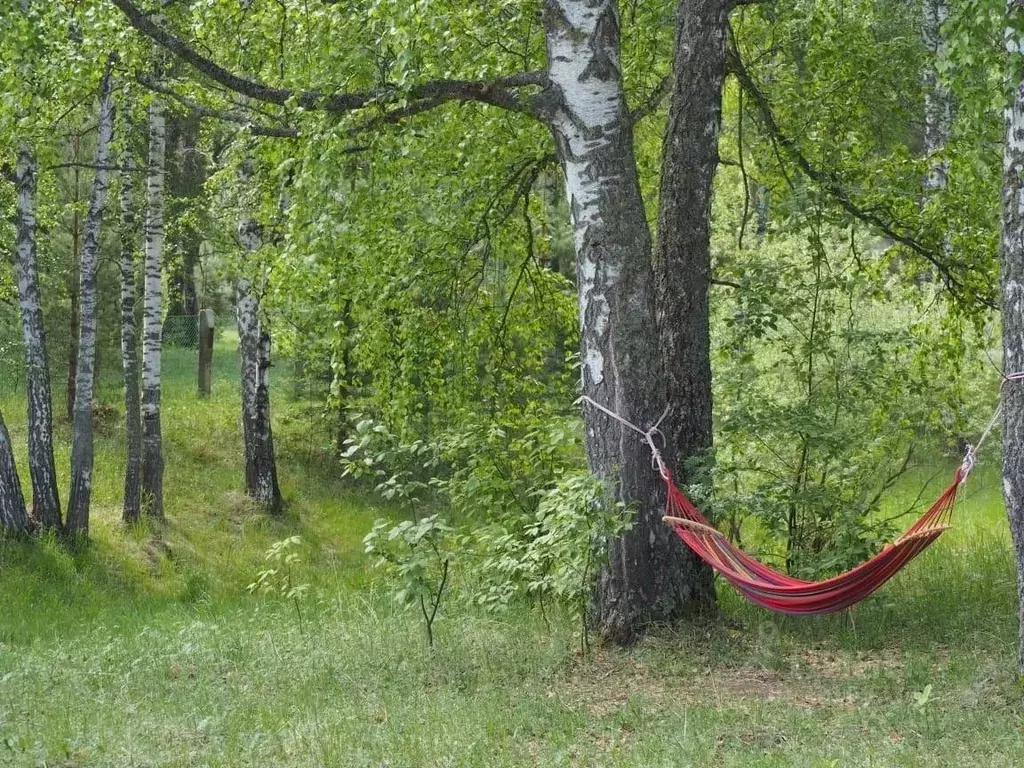 Дом в Московская область, Раменский муниципальный округ, Сосновый Край ... - Фото 2