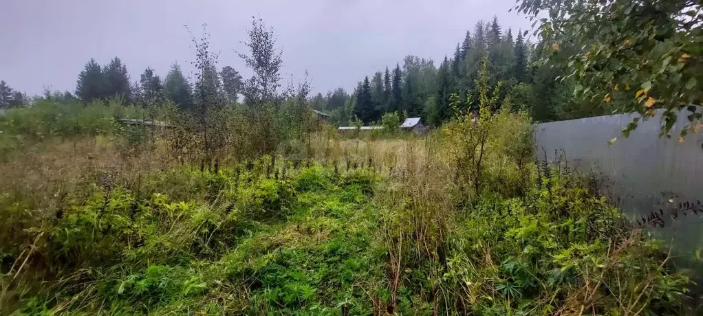 Участок в Коми, Корткеросский район, Додзь муниципальное образование, ... - Фото 2