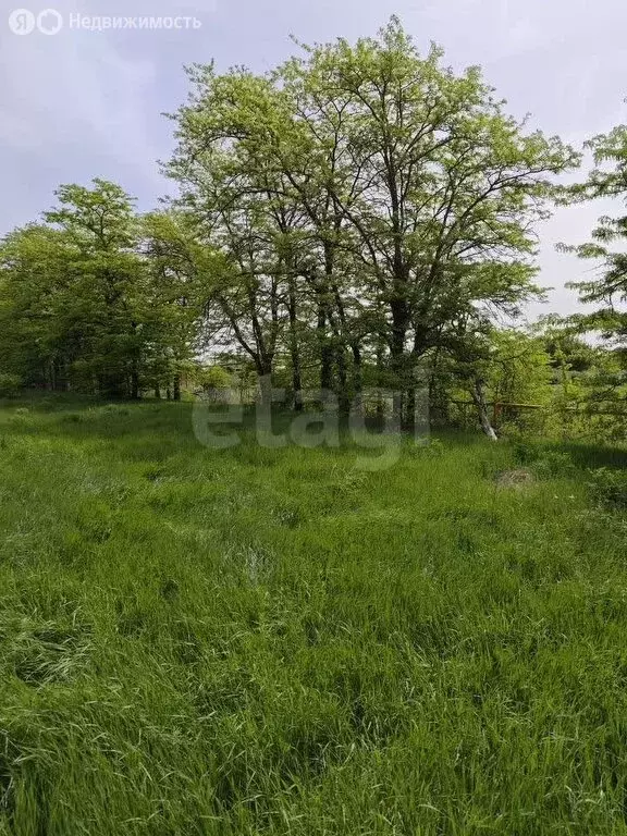 Участок в хутор Александровка, Колхозная улица (25 м) - Фото 0