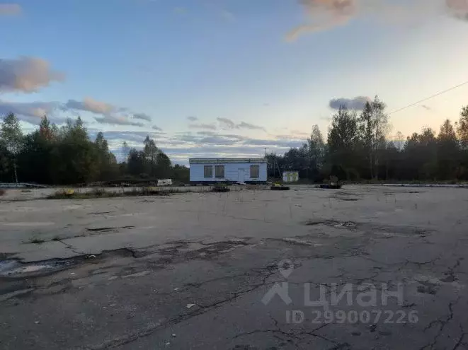 Производственное помещение в Смоленская область, Дорогобуж ул. ... - Фото 1