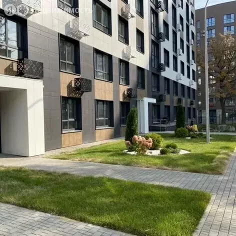 Помещение свободного назначения (54.5 м) - Фото 1