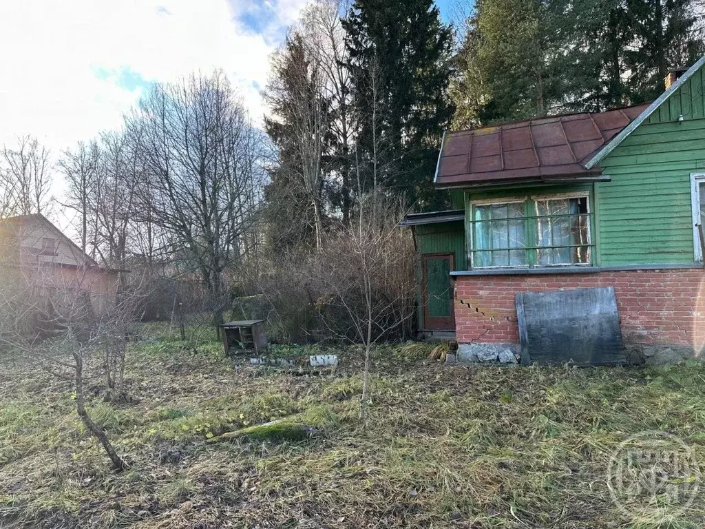 Дом в Ленинградская область, Выборг ул. Небесная, 25 (41 м) - Фото 2