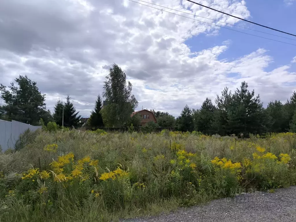 Участок в Московская область, Раменский муниципальный округ, с. Речицы ... - Фото 1