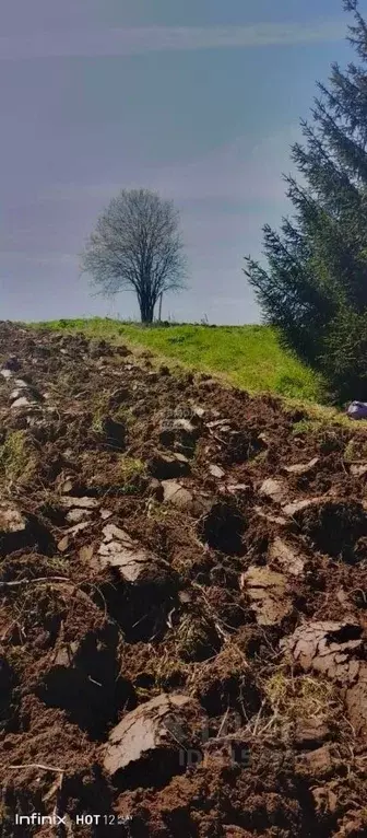 Участок в Пермский край, Краснокамский городской округ, д. Большая ул. ... - Фото 1