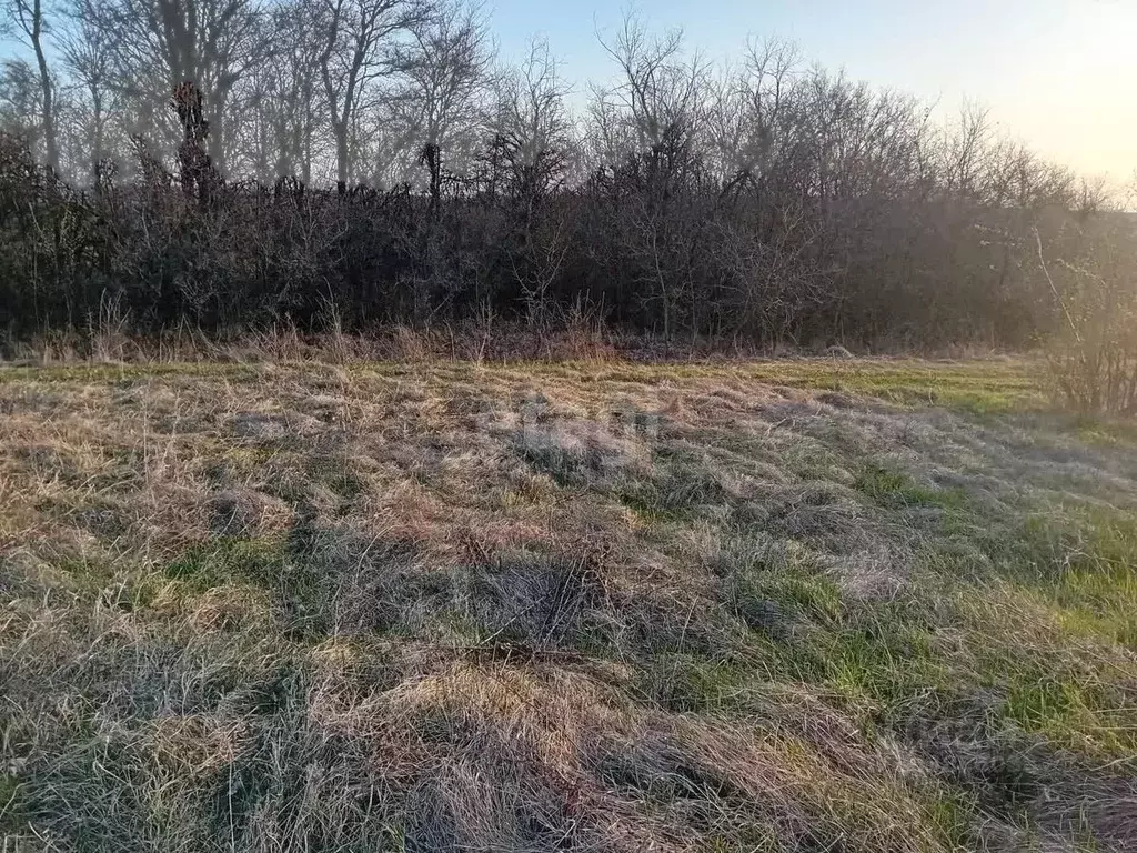 Участок в Белгородская область, Красногвардейский район, Ливенское ... - Фото 0