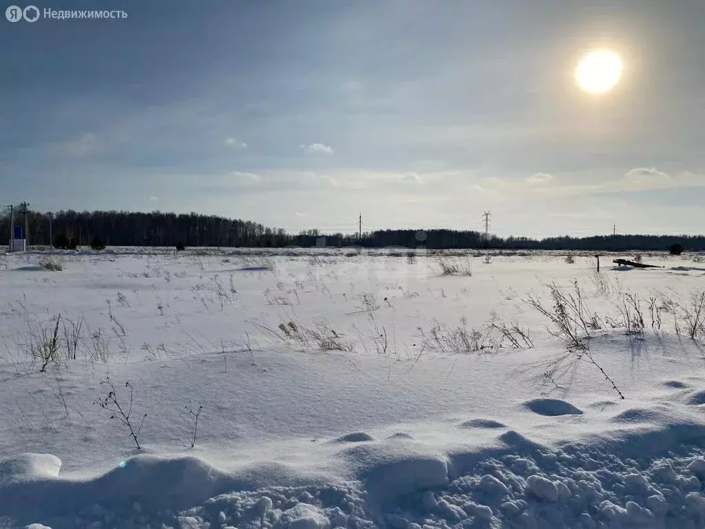 Участок в село Колесниково, Школьная улица (38 м) - Фото 2
