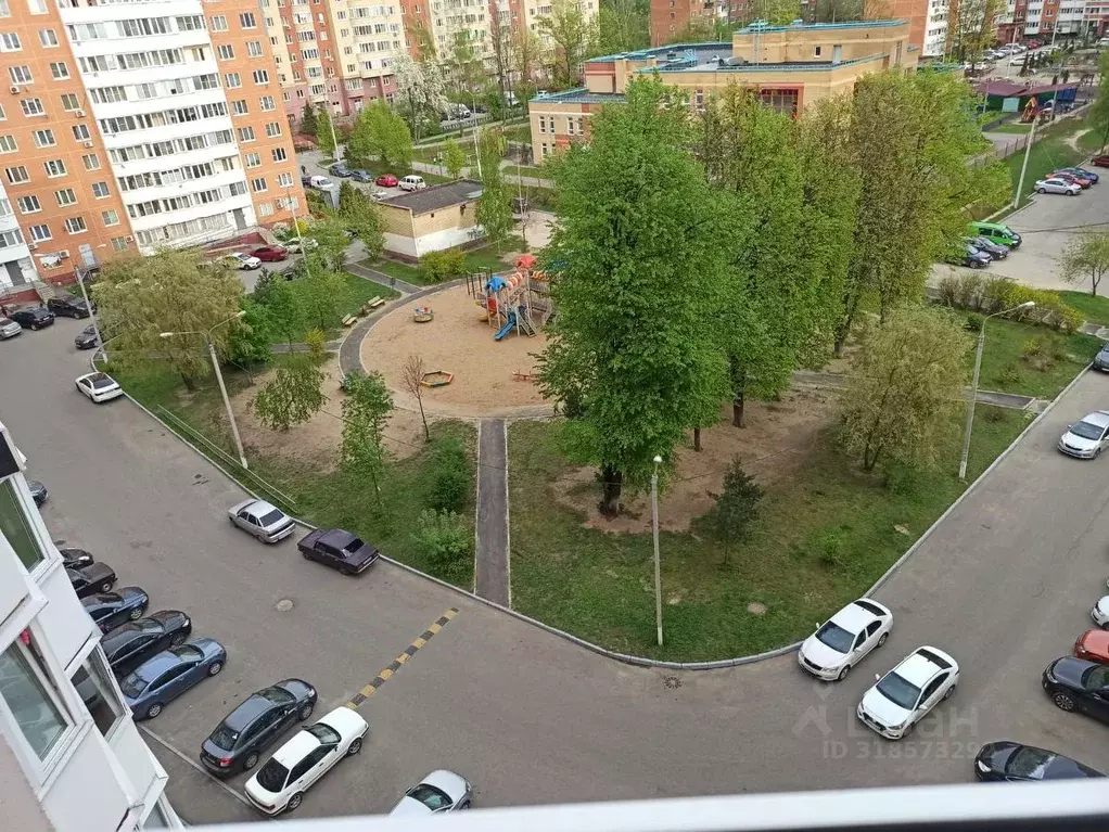 1-к кв. Московская область, Домодедово Северный мкр, ул. Ломоносова, ... - Фото 0