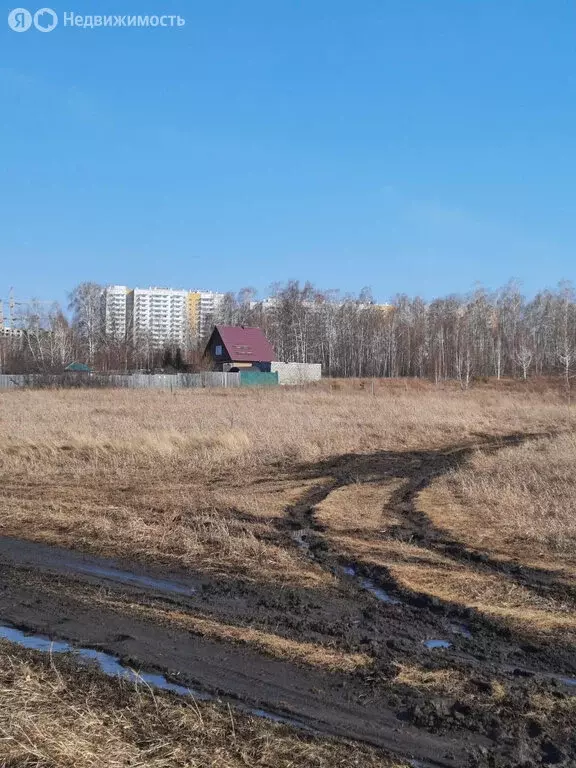 Участок в Солонцовский сельсовет, садоводческое некоммерческое ... - Фото 0