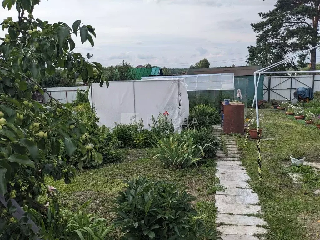 Участок в Новосибирская область, Новосибирский район, Мочищенский ... - Фото 1