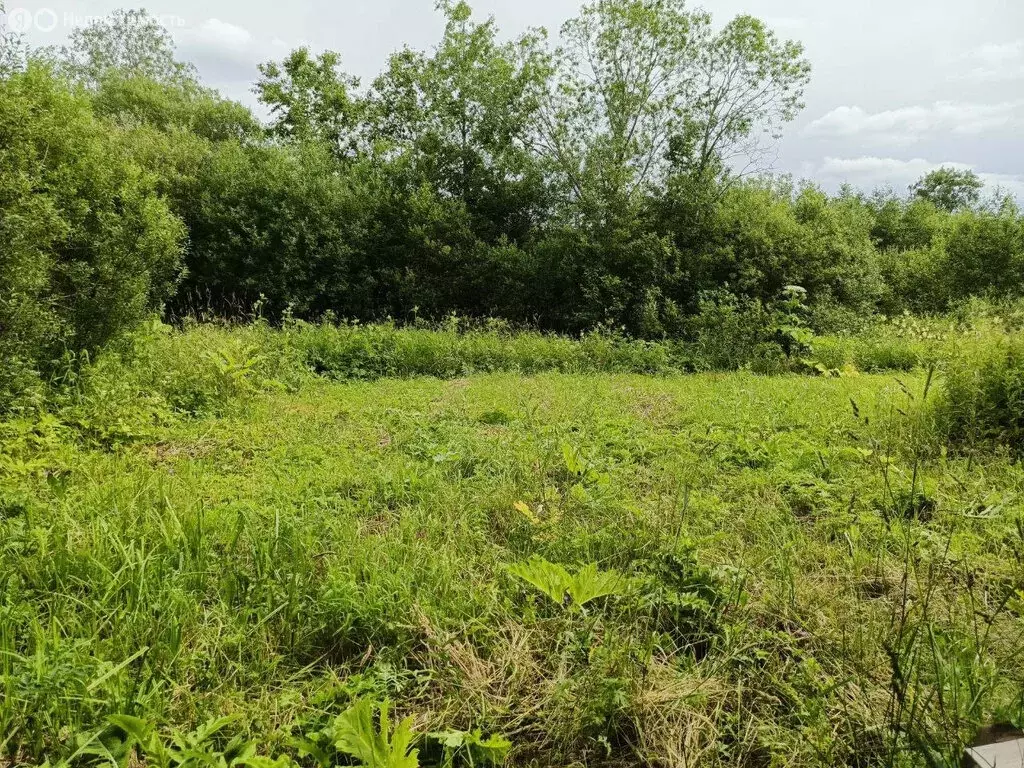 Участок в Ленинградская область, Гатчинский муниципальный округ, ... - Фото 2