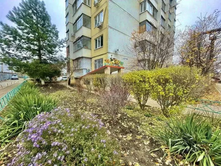 Торговая площадь в Краснодарский край, Краснодар ул. Академика ... - Фото 2