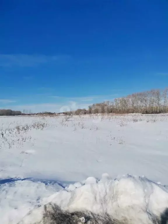 Участок в Тюменская область, Тюменский район, с. Луговое  (5.1 сот.) - Фото 1