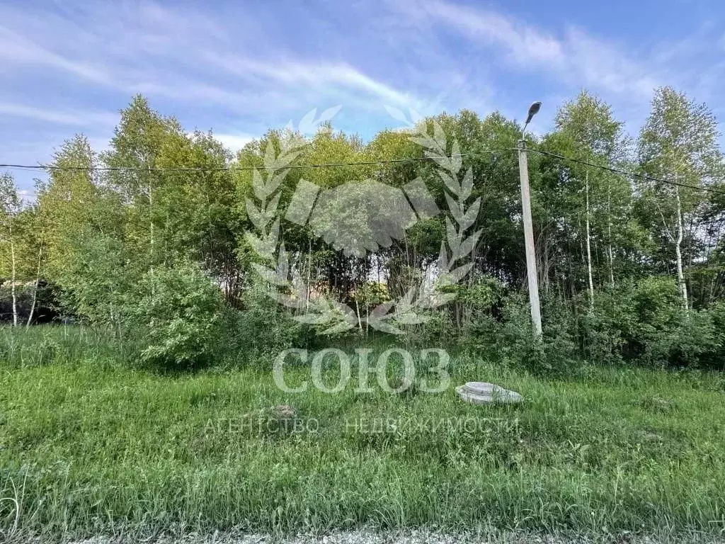 Участок в Калужская область, Тарусский район, Алекино с/пос, д. ... - Фото 2