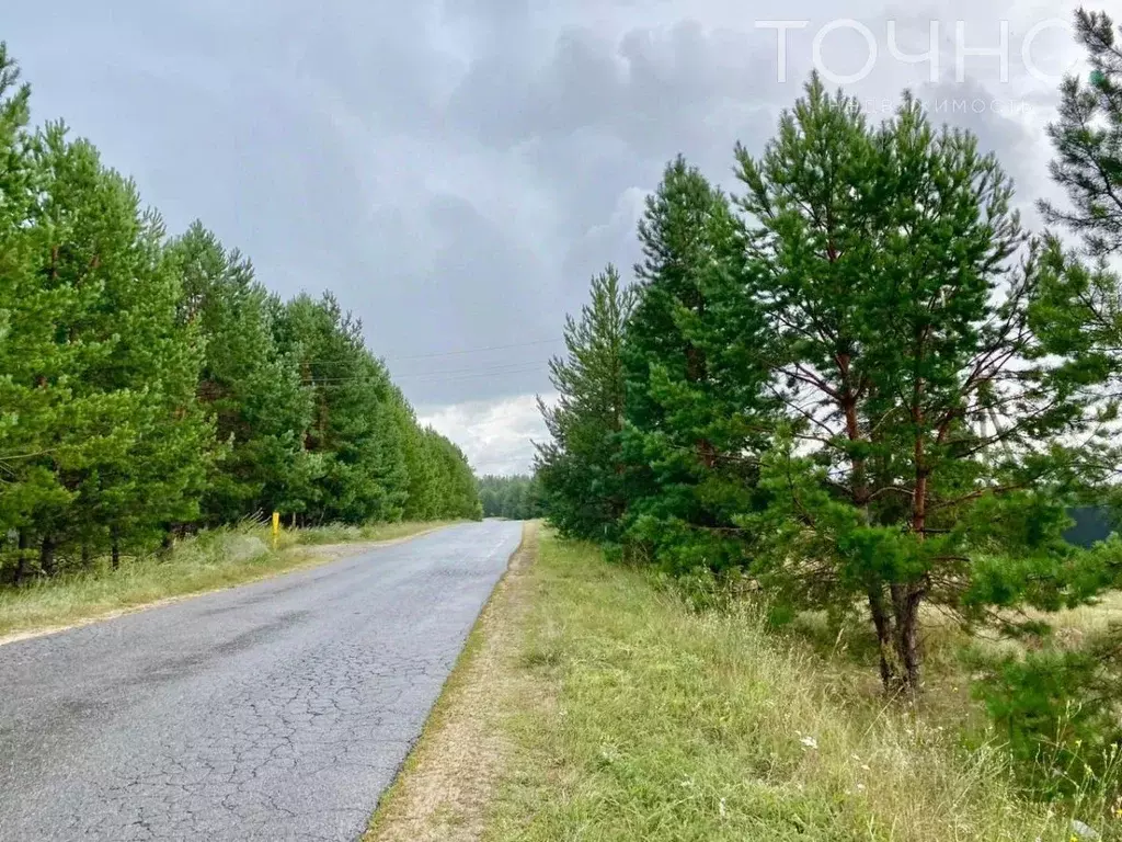 Участок в Пензенская область, Бессоновский район, Сосновский ... - Фото 0