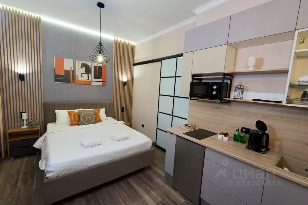 Студия Самарская область, Тольятти ул. 40 лет Победы, 45Ак1 (28.0 м) - Фото 1