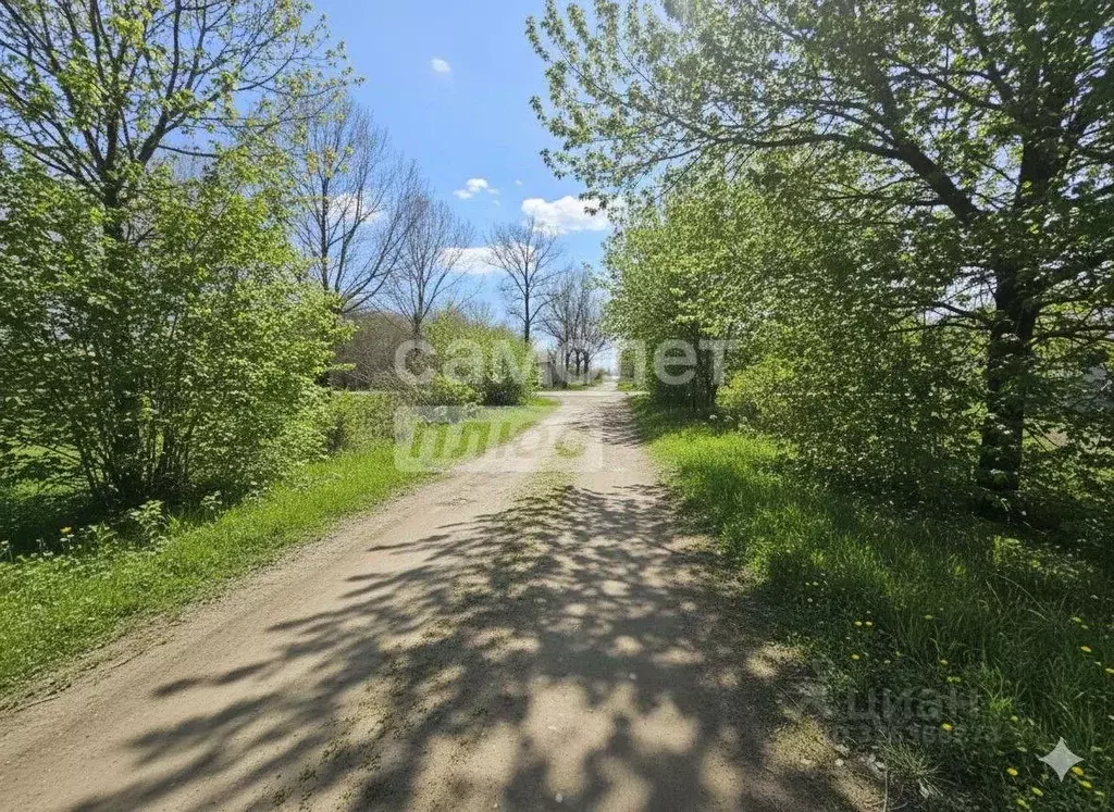 Участок в Краснодарский край, Анапа муниципальный округ, Гостагаевская ... - Фото 1