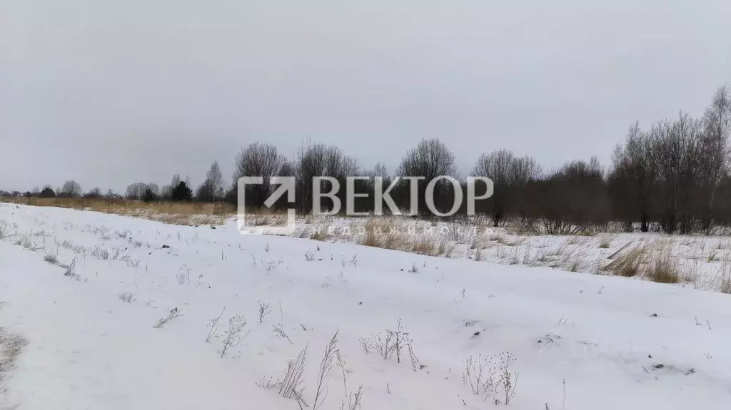 Участок в Костромская область, Кострома ул. Героев (8.1 сот.) - Фото 1