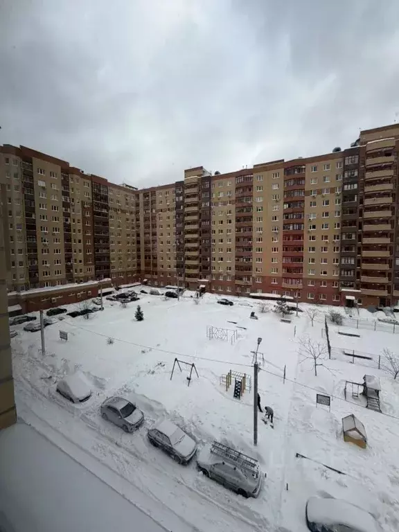 Студия Московская область, Богородский городской округ, д. Щемилово ... - Фото 2