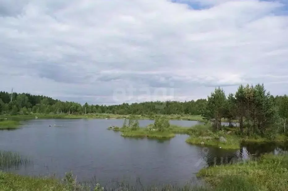 Участок в Свердловская область, Белоярский муниципальный округ, пос. ... - Фото 2