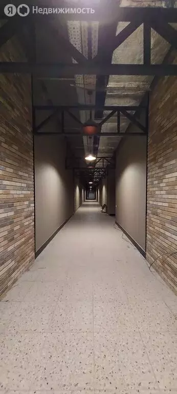 Помещение свободного назначения (215 м) - Фото 1