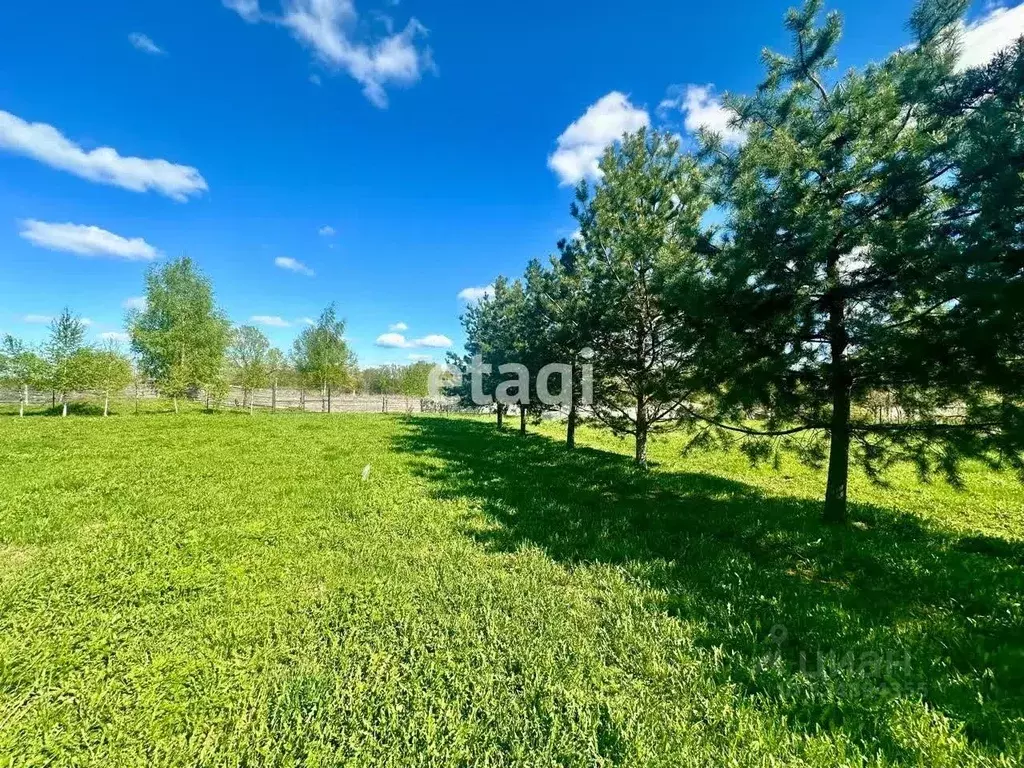 Участок в Владимирская область, Петушинский муниципальный округ, д. ... - Фото 1