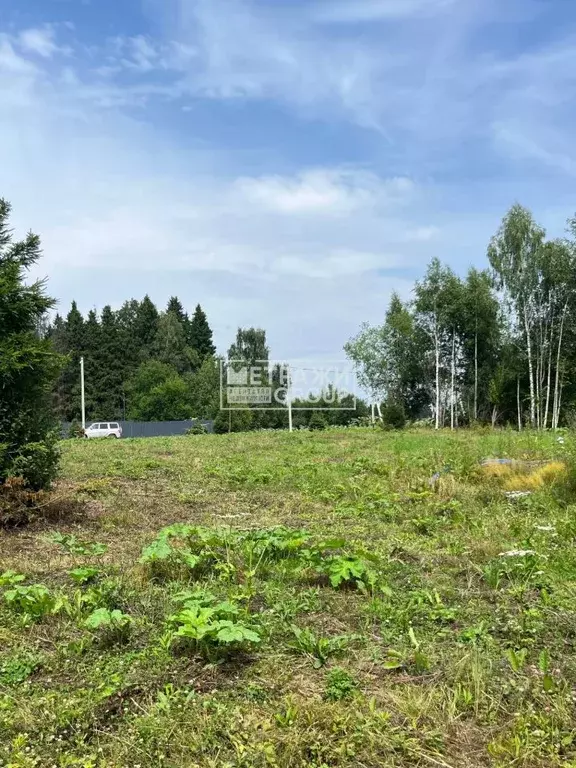 Участок в Московская область, Пушкинский городской округ, д. Михалево, ... - Фото 1