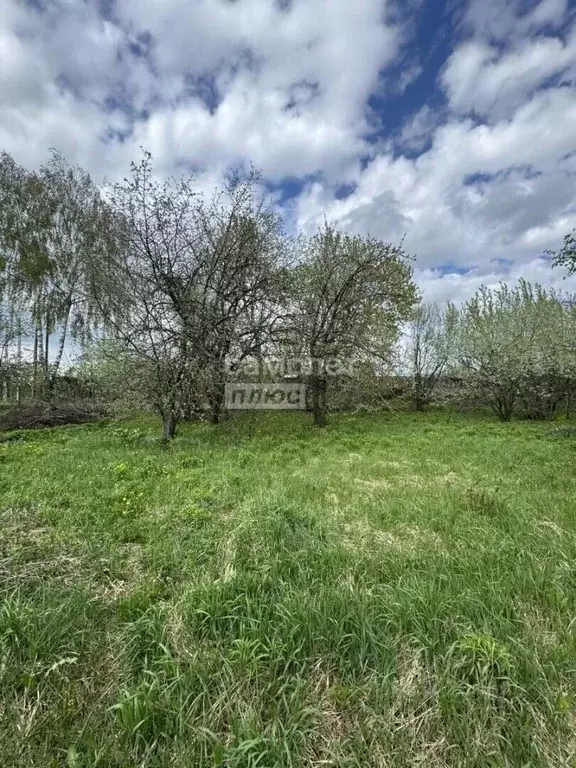 Участок в Нижегородская область, Бор Садовник СНТ,  (7.2 сот.) - Фото 2