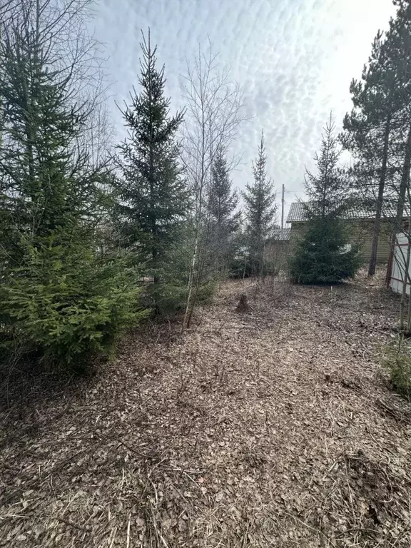 Участок в Нижегородская область, Бор муниципальный округ, д. Княжево ... - Фото 1
