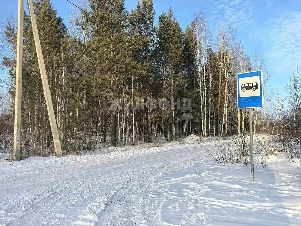 Участок в Новосибирская область, Новосибирский район, Кудряшовский ... - Фото 1