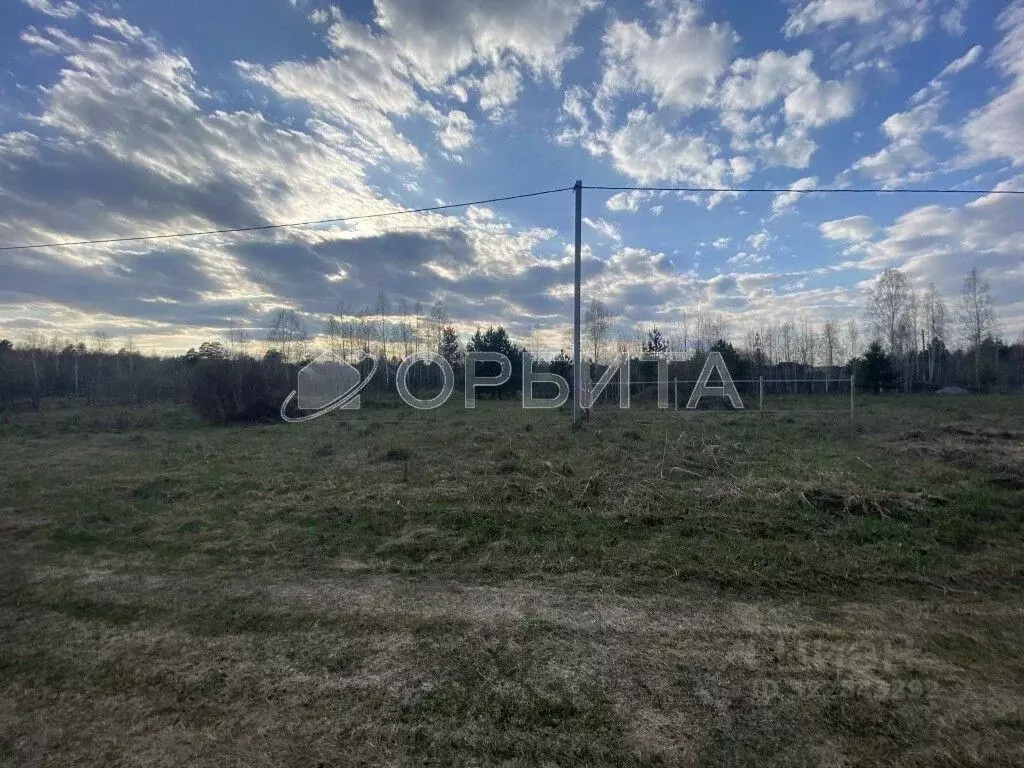 Участок в Свердловская область, Тугулымский муниципальный округ, с. ... - Фото 1