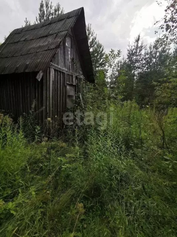 Участок в Кировская область, Кирово-Чепецкий район, Федяковское с/пос, ... - Фото 0