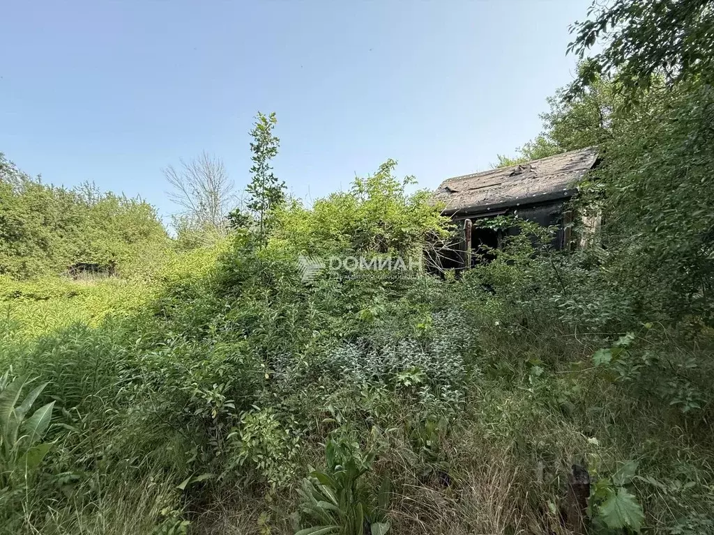 Участок в Ростовская область, Новочеркасск № 23 СТ, 223 (5.0 сот.) - Фото 0