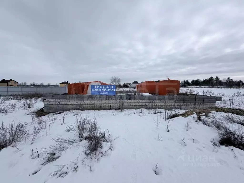 Участок в Воронежская область, Рамонский район, с. Новоживотинное  ... - Фото 1