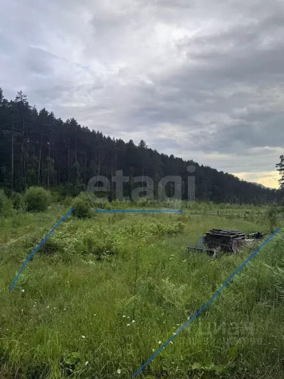 Участок в Алтай, Майминский район, с. Манжерок  (11.5 сот.) - Фото 1