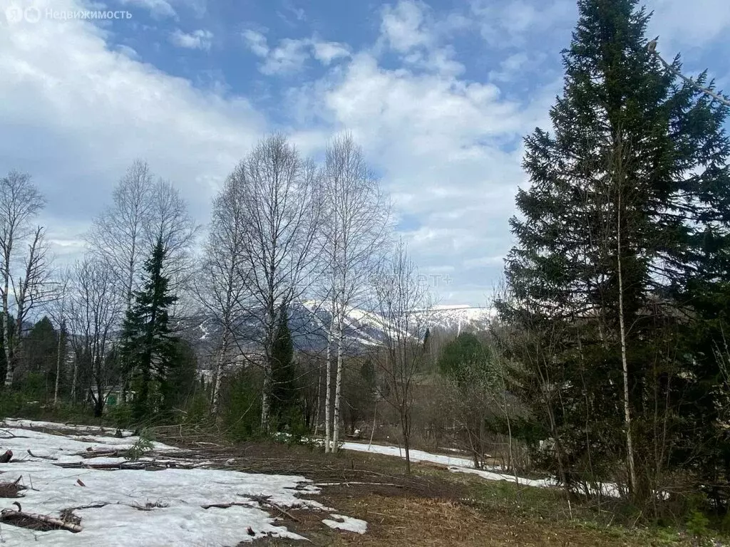 Участок в посёлок городского типа Шерегеш, Северная улица, 87 (15 м) - Фото 2