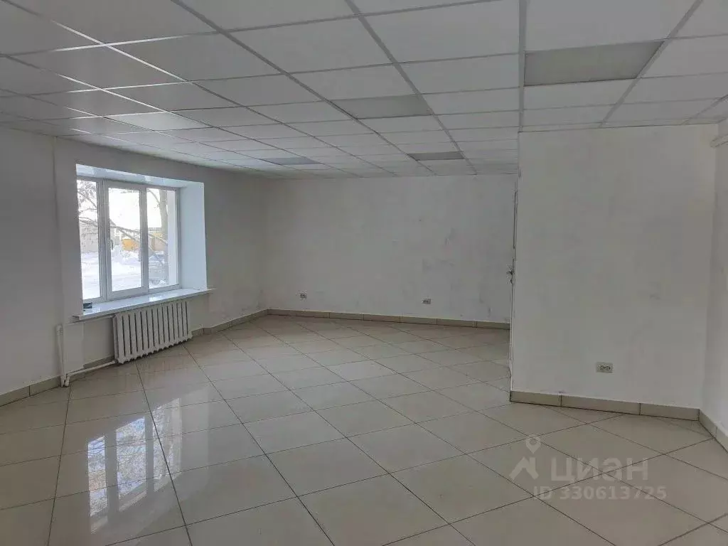 Помещение свободного назначения в Брянская область, Брянск пер. ... - Фото 1