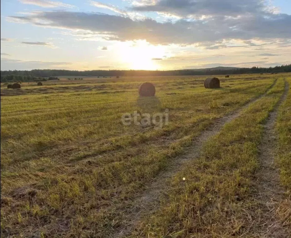 Участок в Свердловская область, Первоуральск  (348.2 сот.) - Фото 1