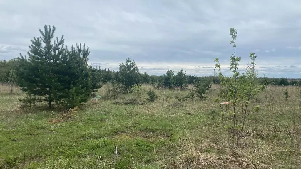 Участок в Владимирская область, Владимир д. Уварово,  (7.5 сот.) - Фото 2