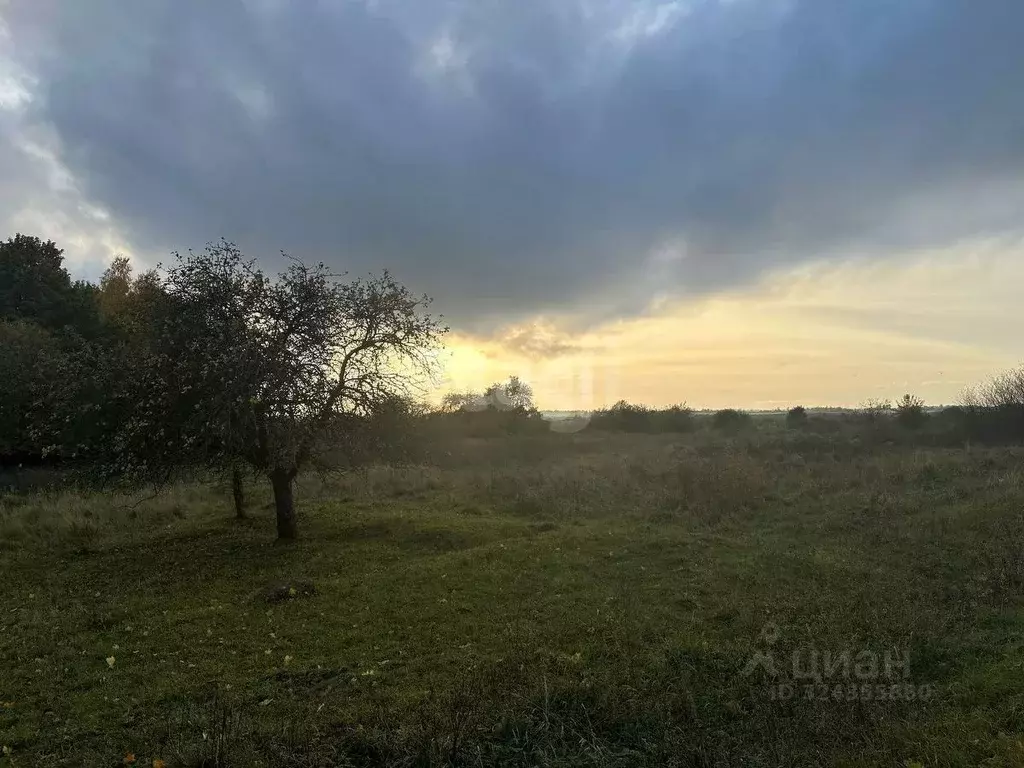 Участок в Калининградская область, Краснознаменск Советская ул. (20.0 ... - Фото 2