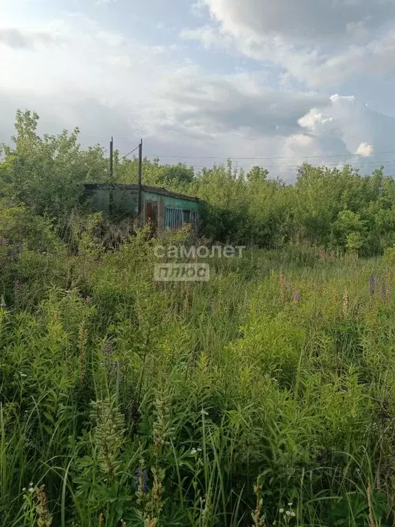 Участок в Липецкая область, Липецк Металлург-4 СНТ, ул. 23-я (6.0 ... - Фото 1