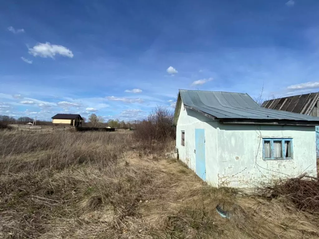 Участок в Пензенская область, Бессоновский район, с. Мастиновка ... - Фото 0