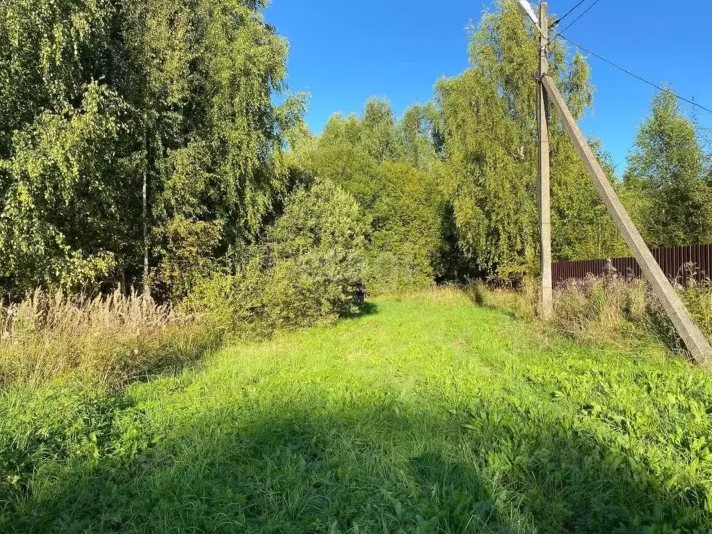 Участок в Ярославская область, с. Брейтово  (12.0 сот.) - Фото 0