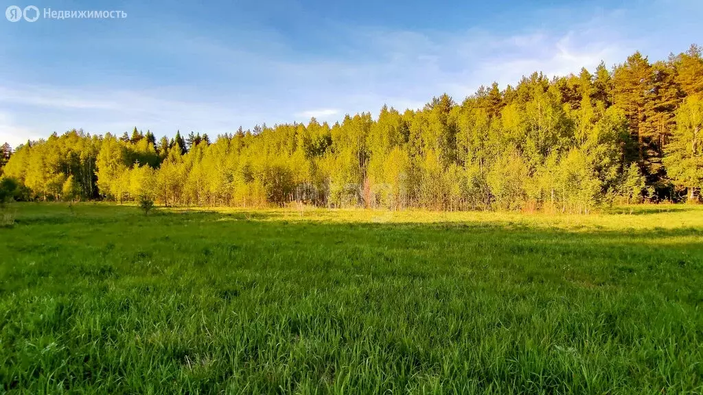 Участок в Ярославский район, Заволжское сельское поселение, село ... - Фото 1