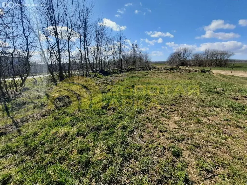 Участок в Темрюкский район, Краснострельское сельское поселение, ... - Фото 2