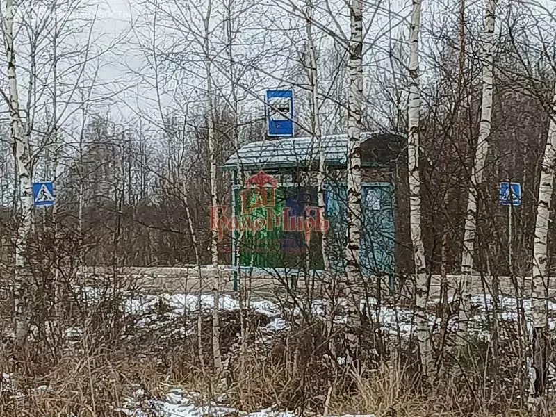 Участок в Талдомский городской округ, деревня Наговицино (15 м) - Фото 1