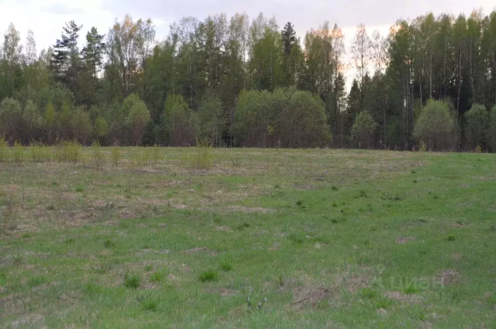 Участок в Новгородская область, Новгородский район, Савинское с/пос, ... - Фото 1