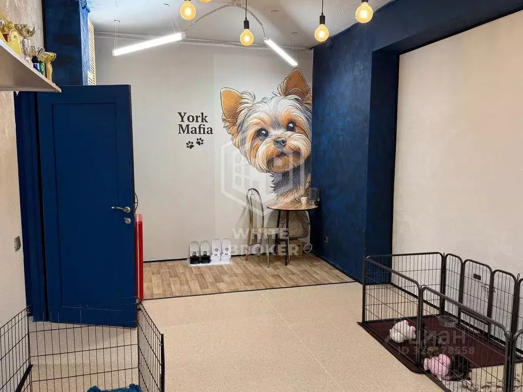 Помещение свободного назначения в Москва Яхромская ул., 3 (55 м) - Фото 1